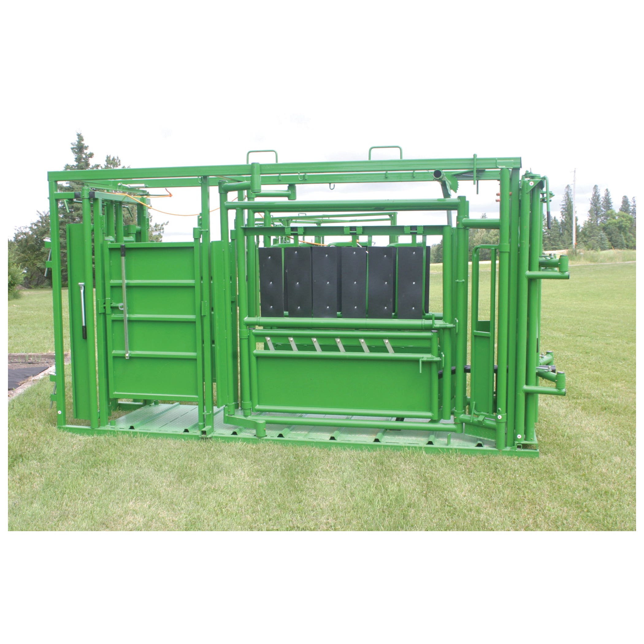 Real Tuff Cattle Squeeze Chute, 11 ft OAL, 38 in OAW, 84 in OAH, Latch Lock