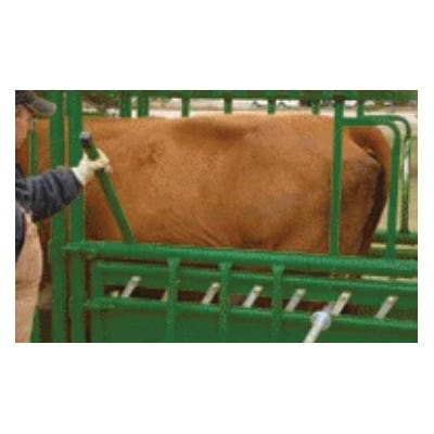 Real Tuff Cattle Squeeze Chute, 11 ft OAL, 38 in OAW, 84 in OAH, Latch Lock