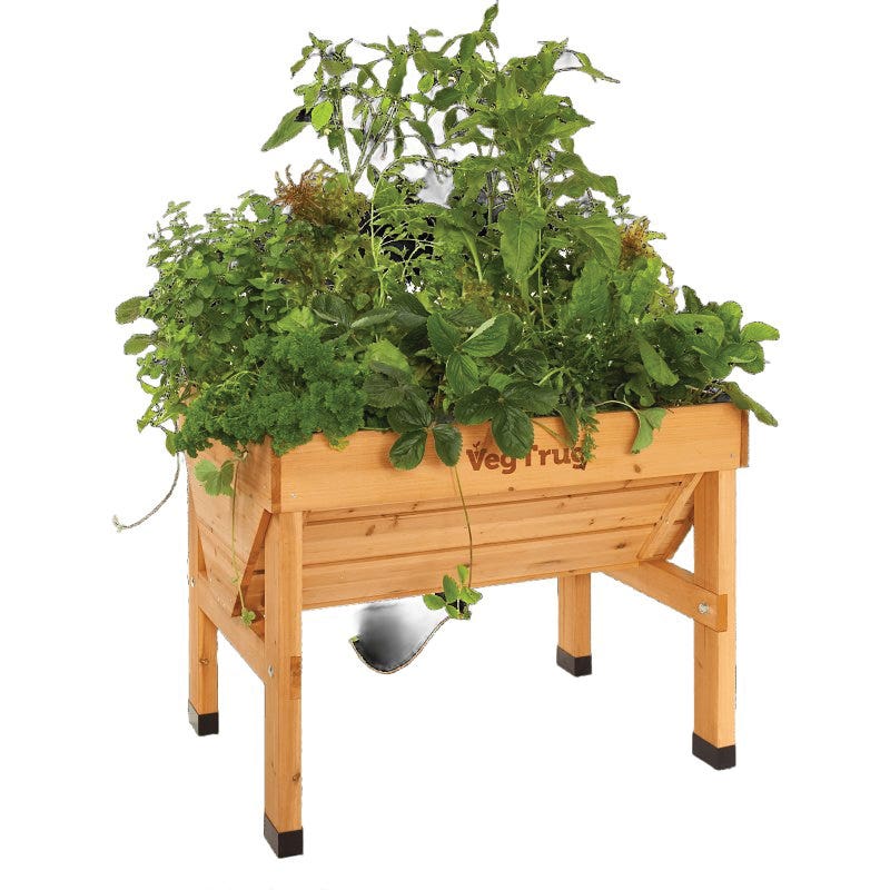 VegTrug Classic VTNS0361 Raised Bed Planter, 103.4 cm L, 76 cm W, 80 cm H, Cedar Wood, Natural