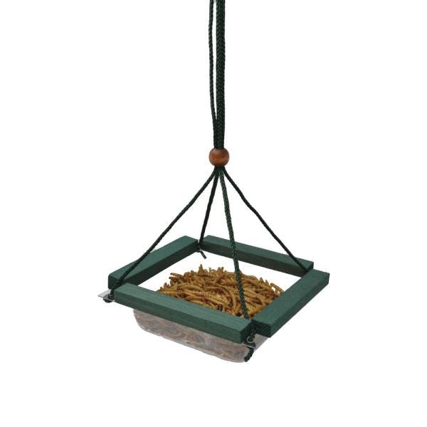 Songbird ESSENTIALS Dish Feeder, Mealworm, 4-Port/Perch, Plastic/Wood, Green, Hanging
