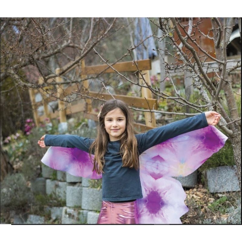 Great Pretenders Ombre Wings, 4 to 6
