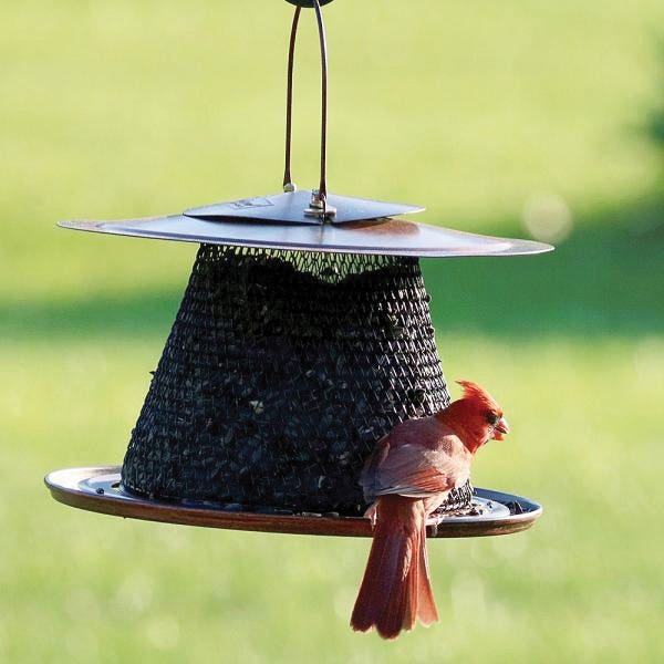 Songbird ESSENTIALS Collapsible Mesh Feeder with Tray, 2.5 lb, Copper
