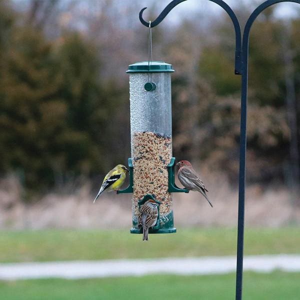 Songbird ESSENTIALS Bird Feeder, 6.69 in H, Tube, 7 Cup, Green