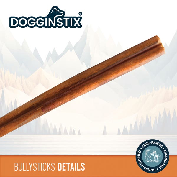 Dogginstix BS30IND Natural Dog Chew and Treat, Cane Bully Stick, 2.8 to 3.8 oz