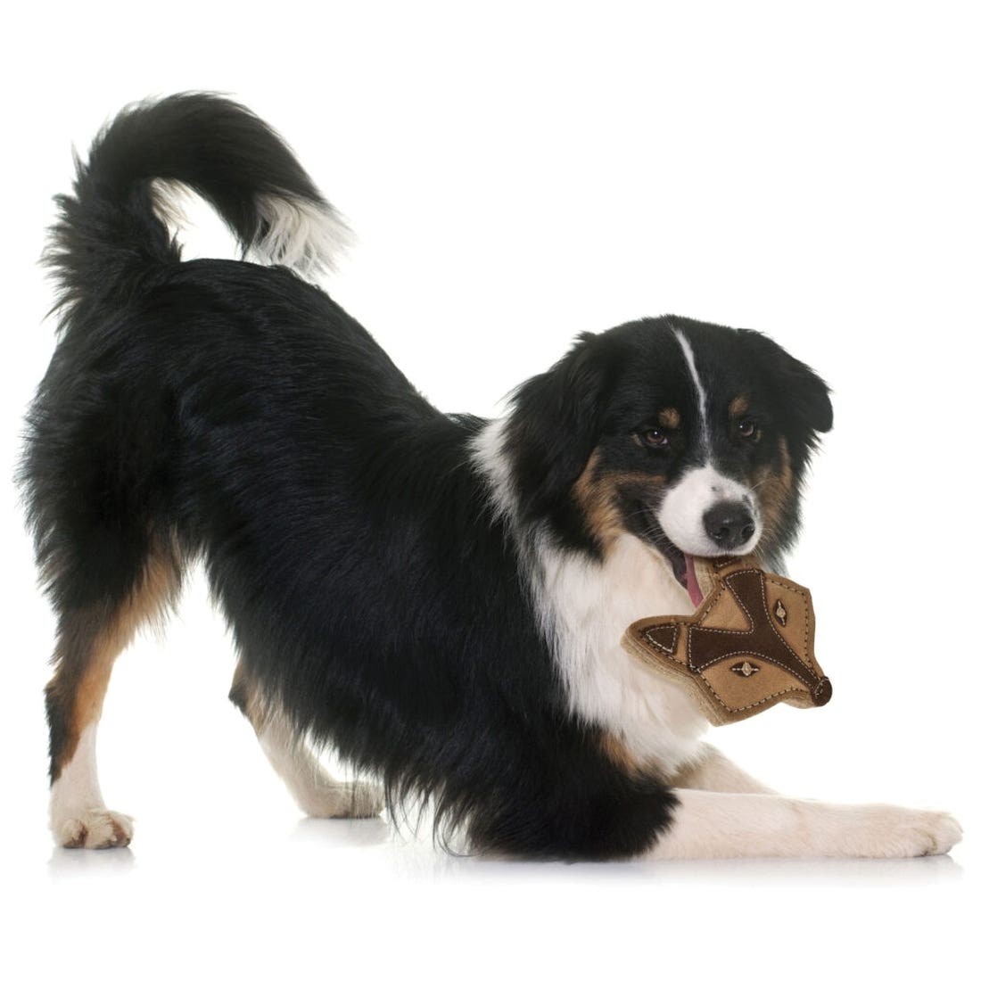 Spot Dura-Fused 54811 Dog Toy, 5 in, Chunky, Fox, Leather/Wool Felt