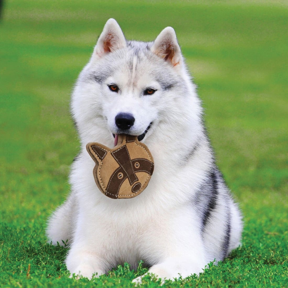 Spot Dura-Fused 54810 Dog Toy, 5 in, Chunky, Raccoon, Leather/Wool Felt