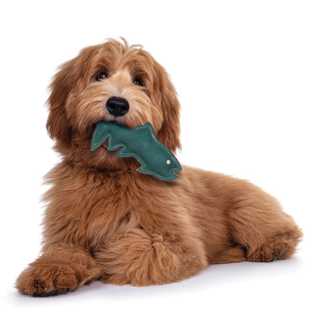 Spot Dura-Fused 54804 Dog Toy, 7 in, Squeaker, Fish, Jute/Leather, Assorted