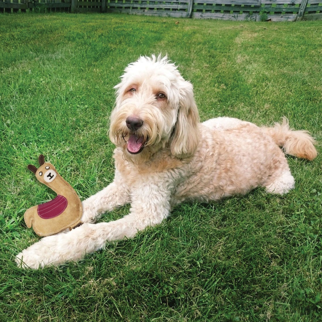 Spot Dura-Fused 54806 Dog Toy, 9 in, Squeaker, Llama, Jute/Leather, Assorted