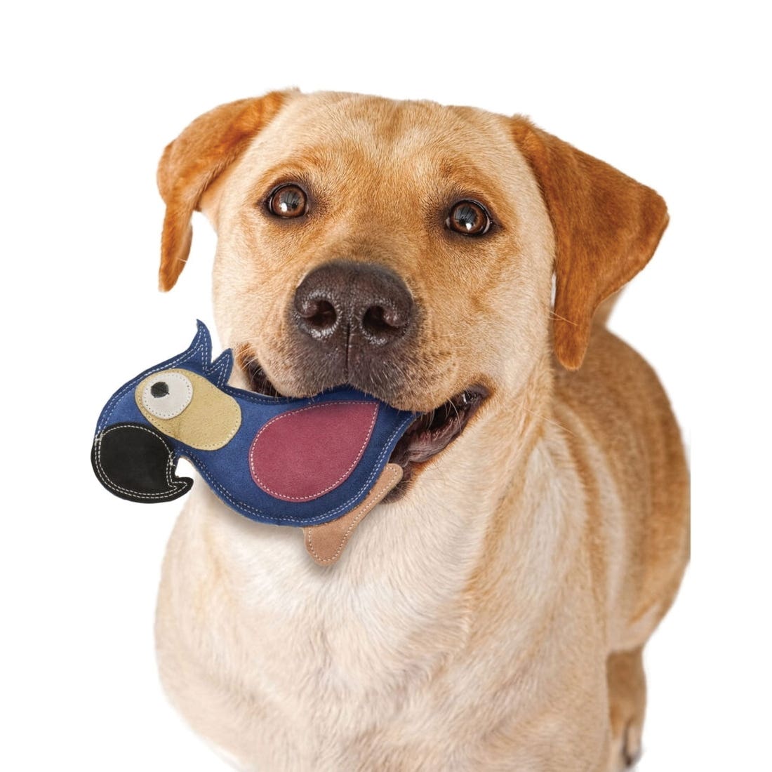 Spot Dura-Fused 54805 Dog Toy, 8 in, Squeaker, Parrot, Jute/Leather, Assorted