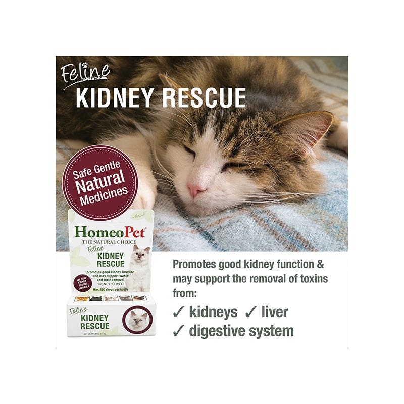 HomeoPet 14753 Feline Kidney Rescue, 15 mL Bottle