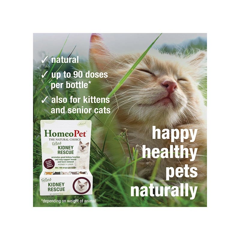 HomeoPet 14753 Feline Kidney Rescue, 15 mL Bottle
