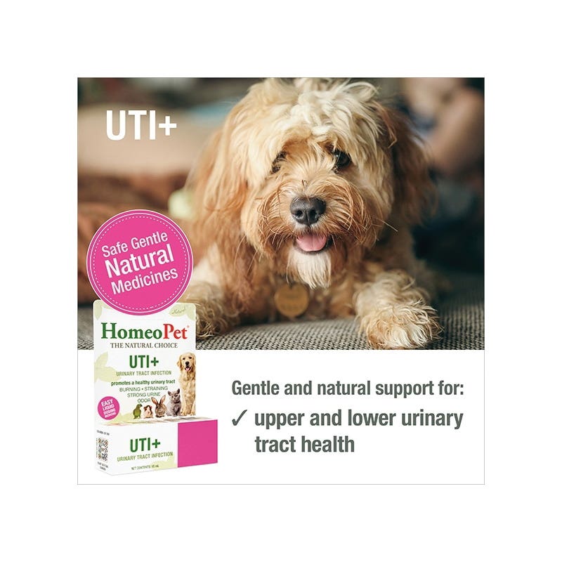 HomeoPet 14754 Pet Medicine, 15 mL Bottle