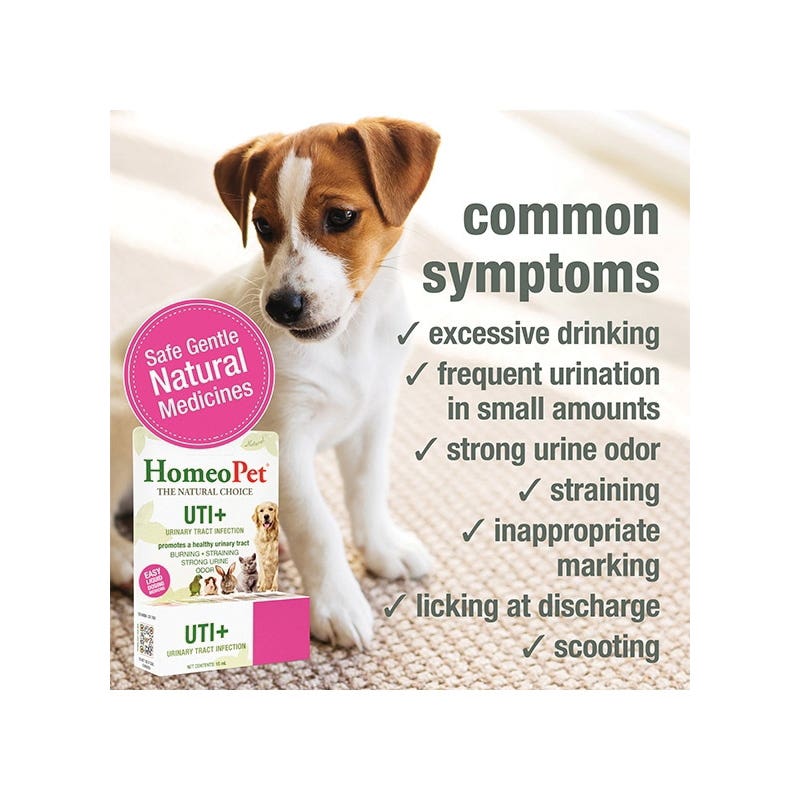 HomeoPet 14754 Pet Medicine, 15 mL Bottle