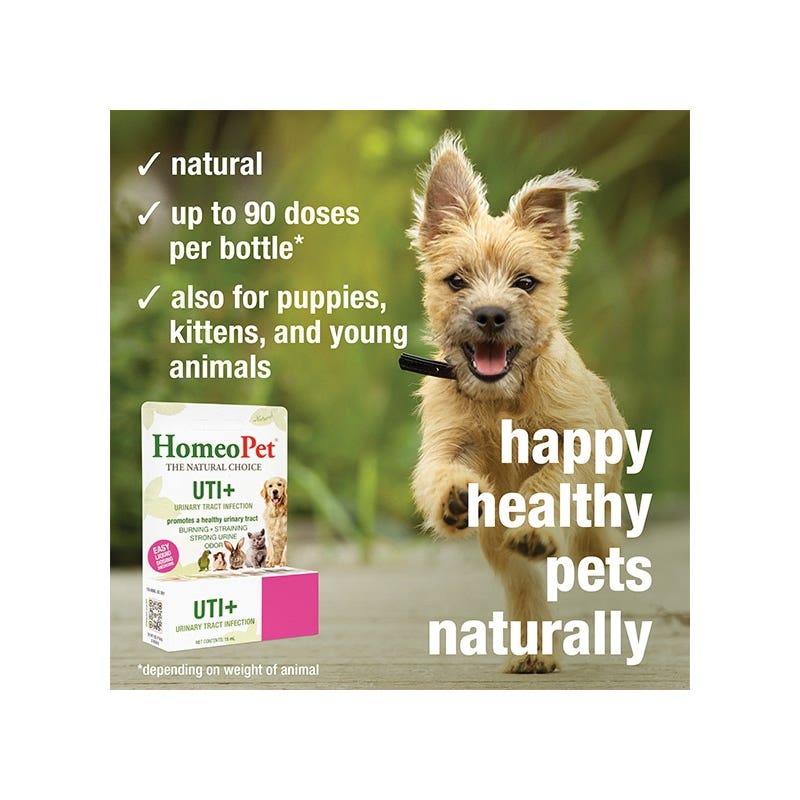 HomeoPet 14754 Pet Medicine, 15 mL Bottle