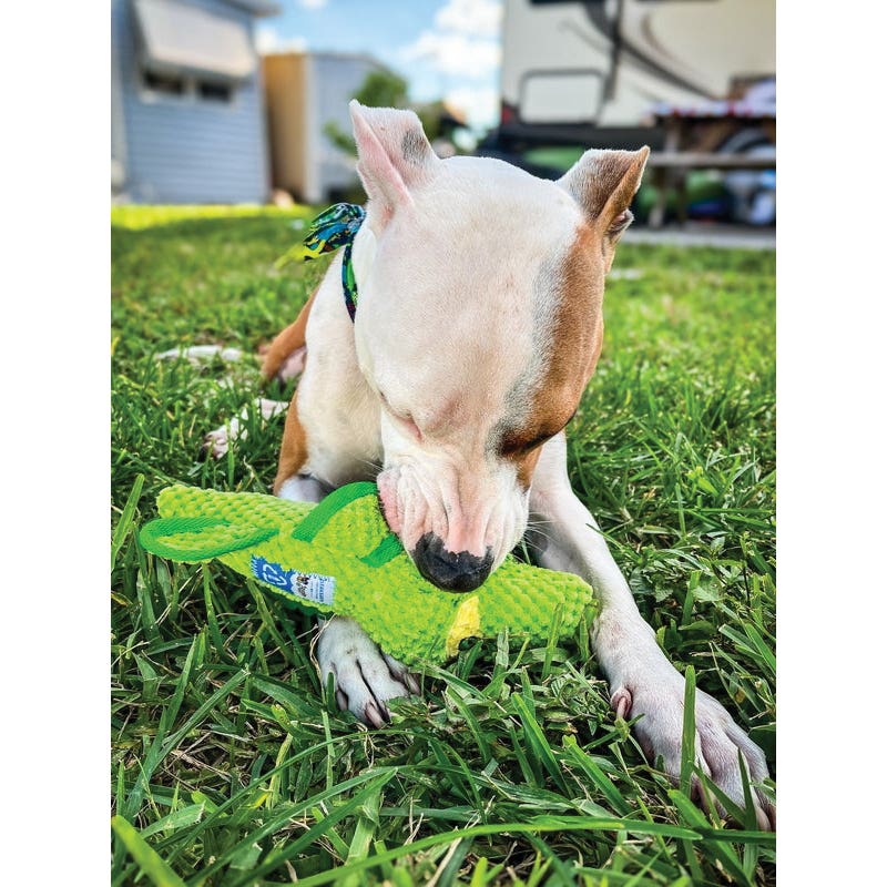 Spunky Pup Clean Earth Series 7235 Dog Toy, 100% Sustainable, Plush, Textured, Gator, PETE