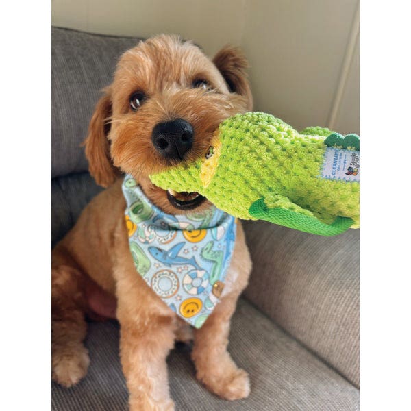 Spunky Pup Clean Earth Series 7235 Dog Toy, 100% Sustainable, Plush, Textured, Gator, PETE