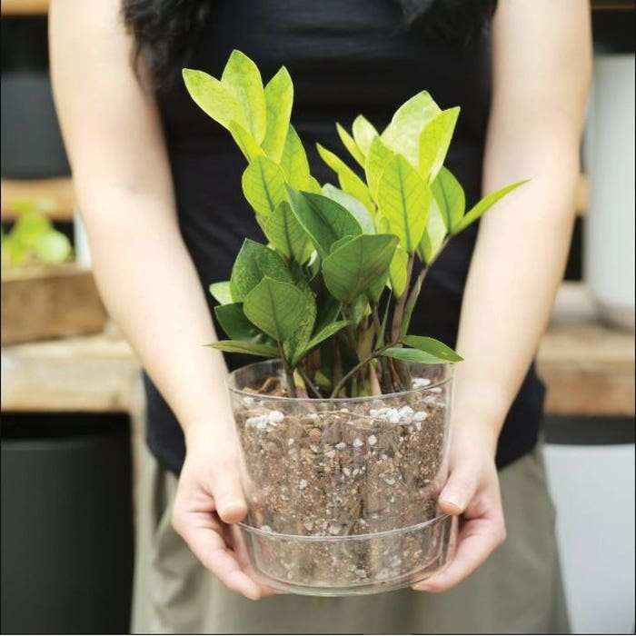 Sol Soils 01-004-01 Houseplant Chunky Mix, 1 qt