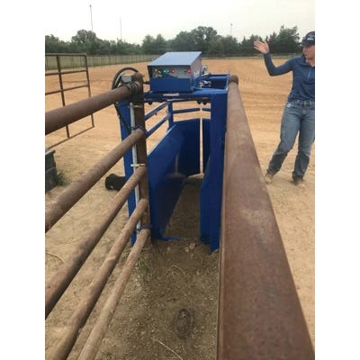 Priefert Automatic Calf Roping Chute 63 in L 21 in W 44.5 in H Sheet Metal Blue