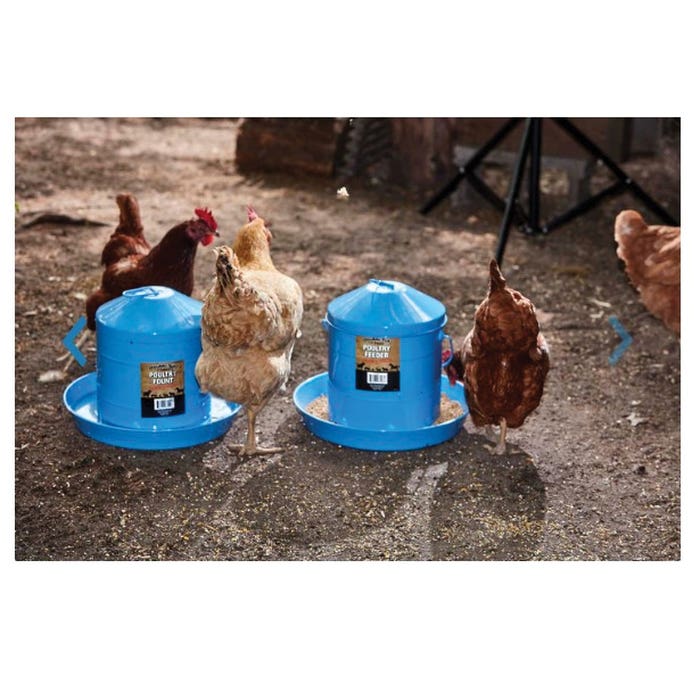 Little Giant DT9864 Poultry Feeder, 17 lb, Galvanized/Painted