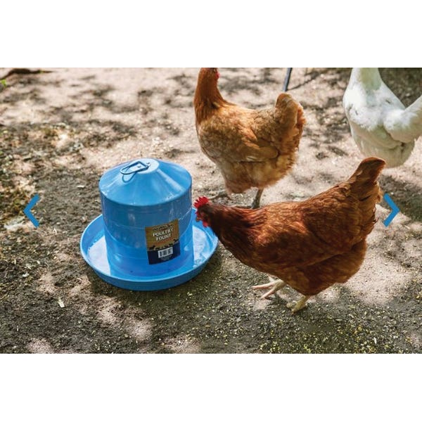 Little Giant DT9863 Poultry Fount, 2 gal, Rubber