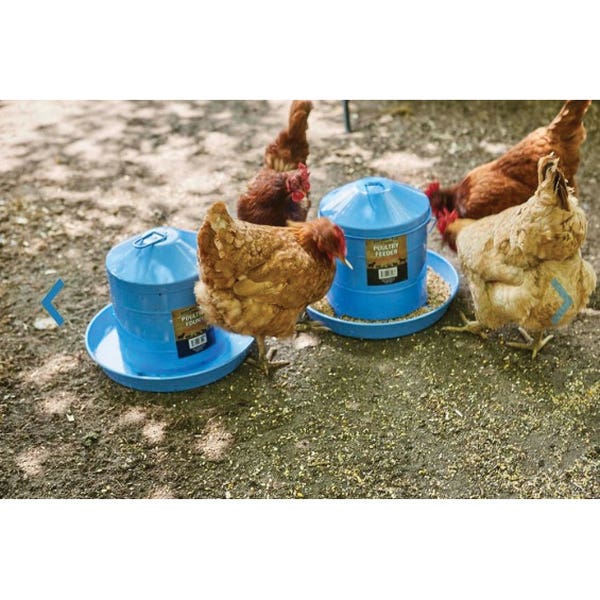 Little Giant DT9863 Poultry Fount, 2 gal, Rubber