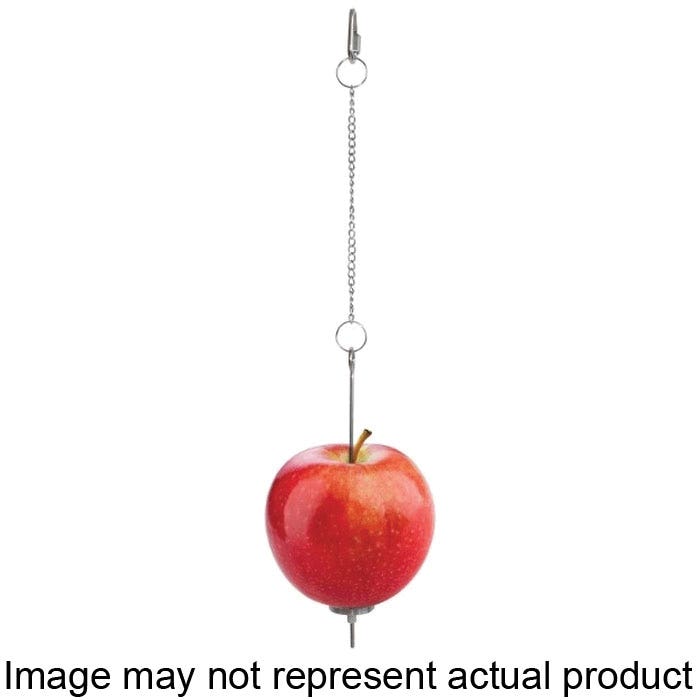 Little Giant SKEWER Chicken Treat Skewer, Stainless Steel