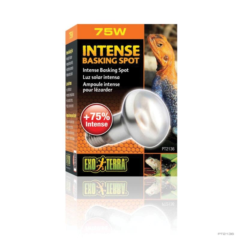Exo Terra Intense Basking Spot Lamp, 75 W