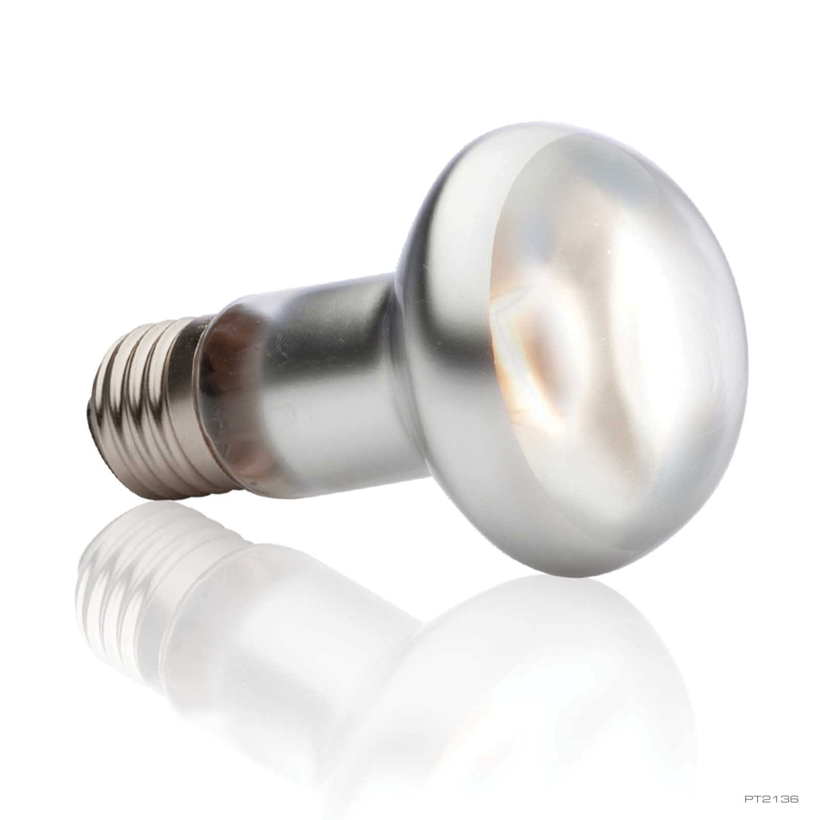 Exo Terra Intense Basking Spot Lamp, 75 W