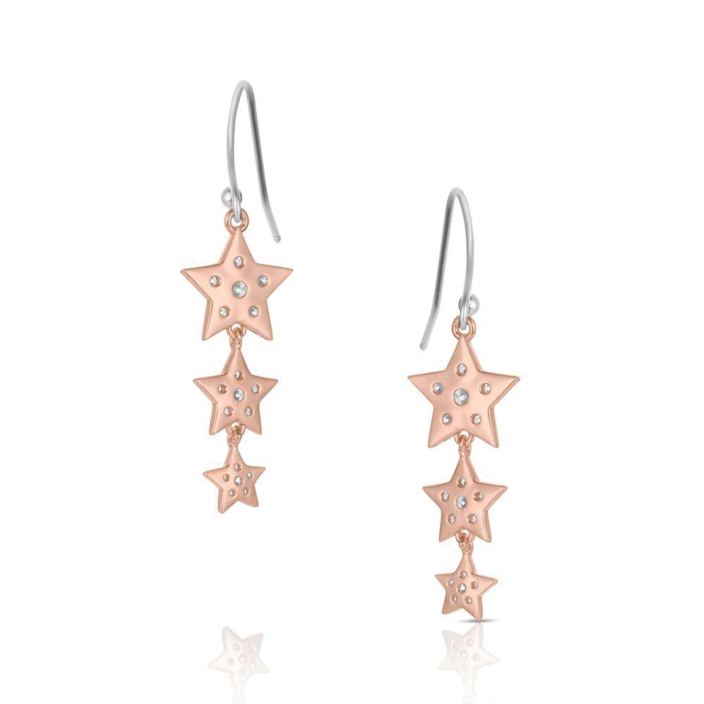 Montana Silversmiths ER6311 Earrings, Zirconia Crystal, Brass/Stainless Steel