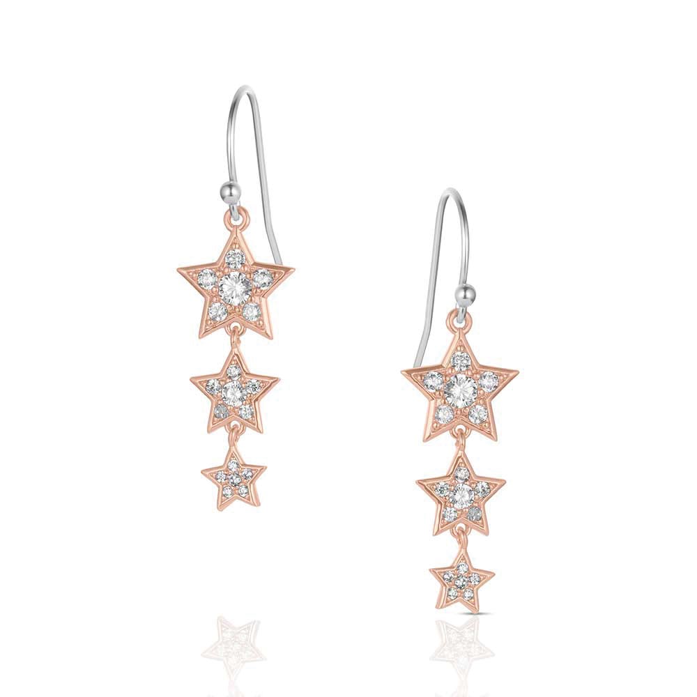 Montana Silversmiths ER6311 Earrings, Zirconia Crystal, Brass/Stainless Steel