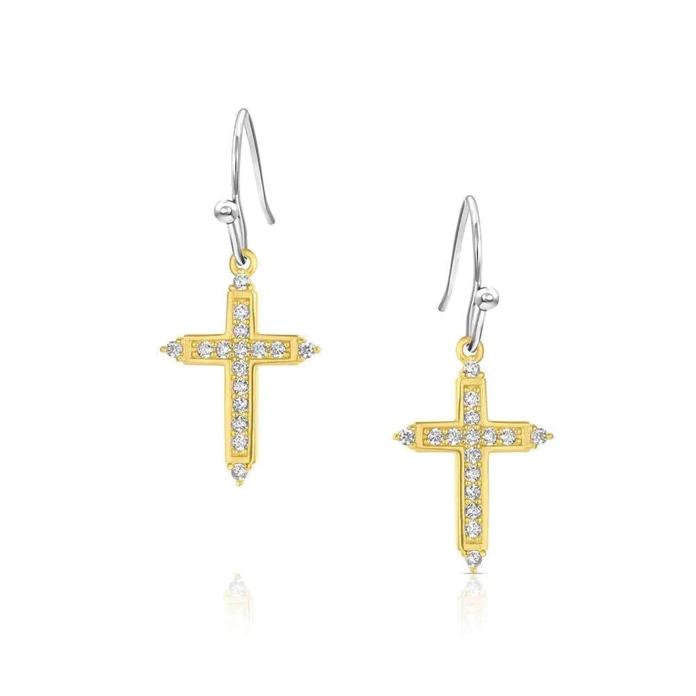 Montana Silversmiths ER6318 Earrings, Zirconia Crystal, Brass/Stainless Steel