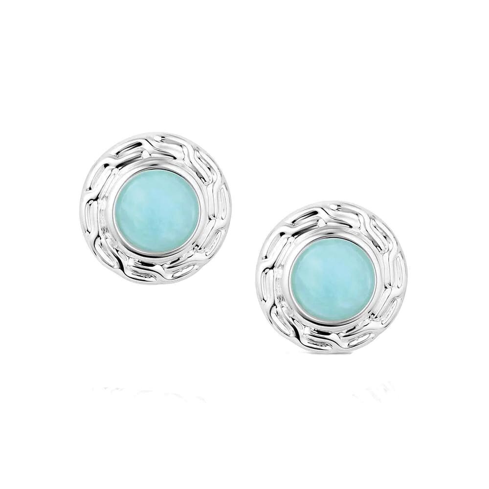 Montana Silversmiths ER6197 Earrings, Etched, Turquoise, Brass/Stainless Steel