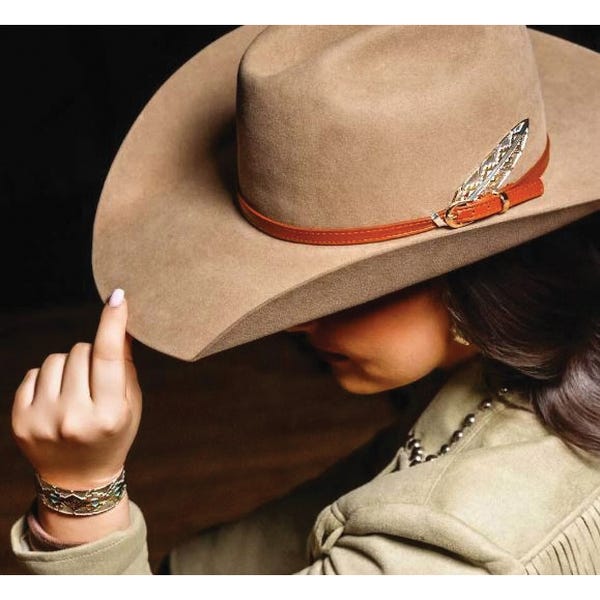 Montana Silversmiths HF6154 Hat Feather, Brass, Gold/Silver