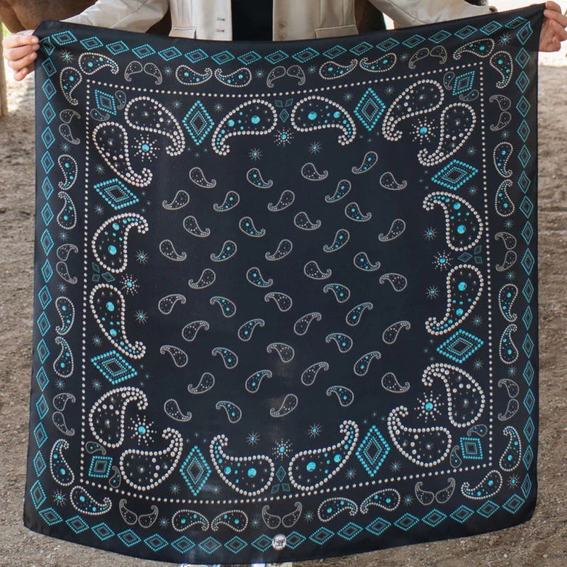 Fringe Scarves Pretty Paisely Silk Scarf, Black, L