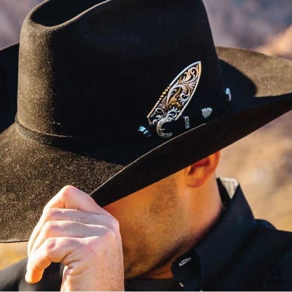 Montana Silversmiths HF6148 Hat Feather, Brass, Gold/Silver
