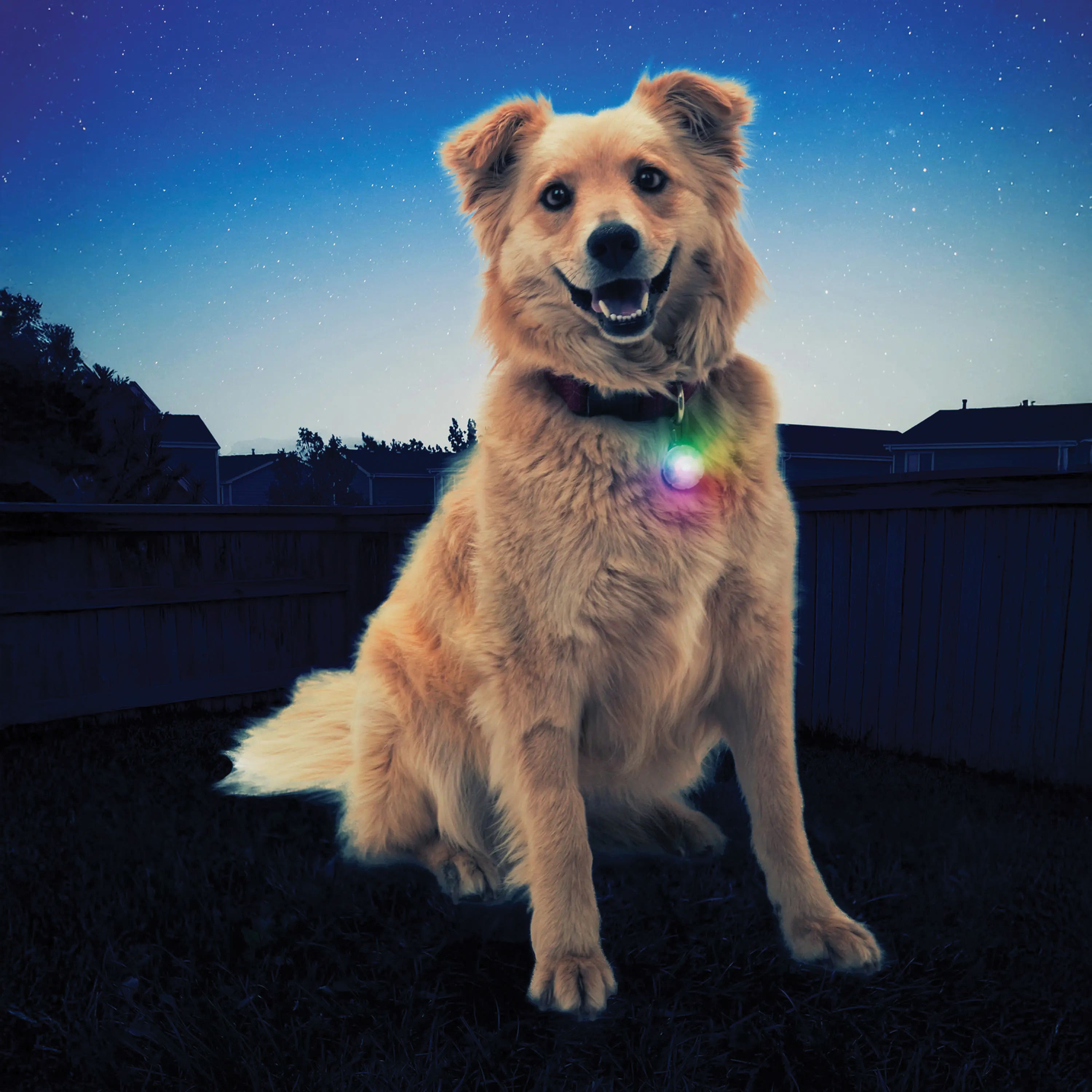 Nite Ize SpotLit, Disc-O Select LED Collar Light