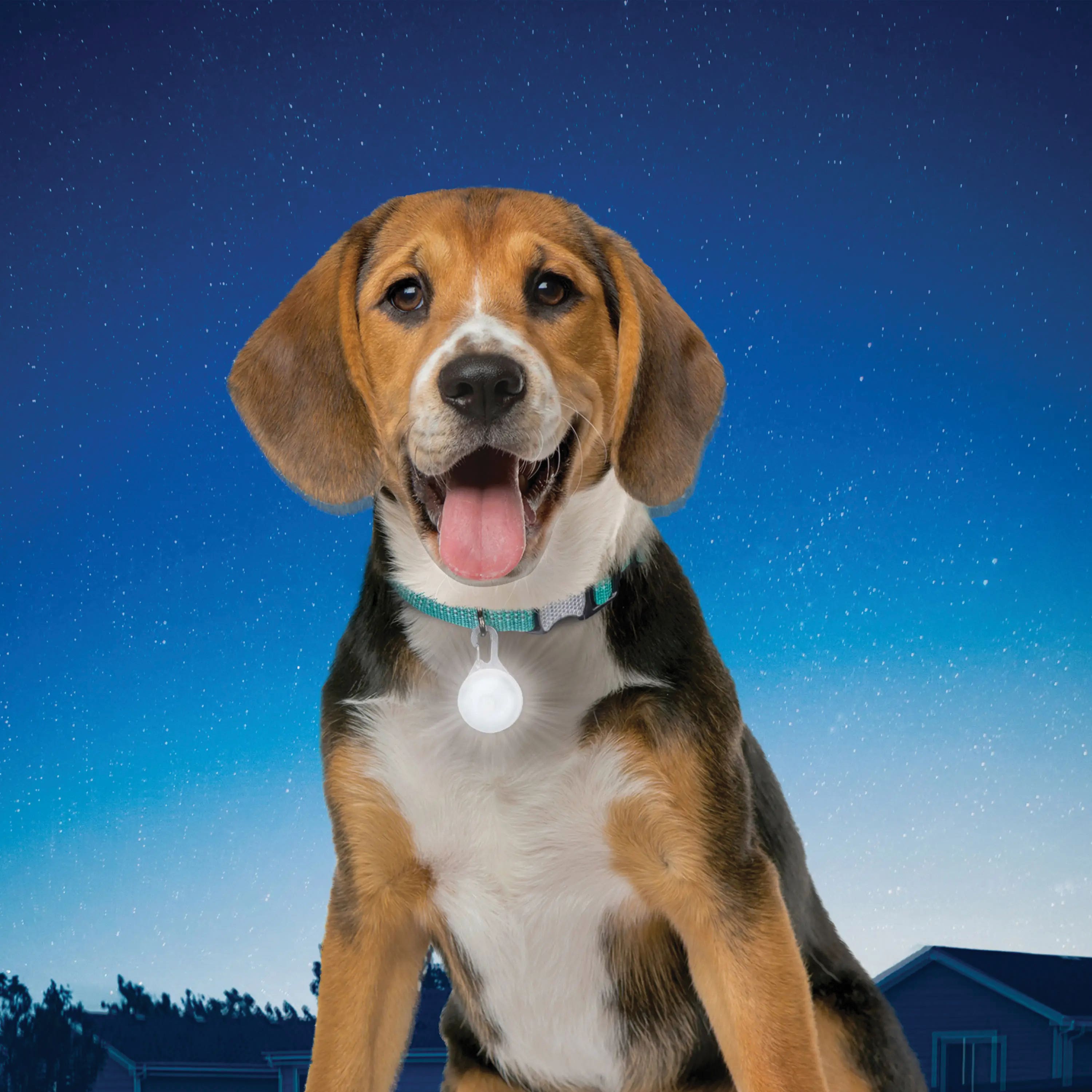 Nite Ize SpotLit, Disc-O Select LED Collar Light