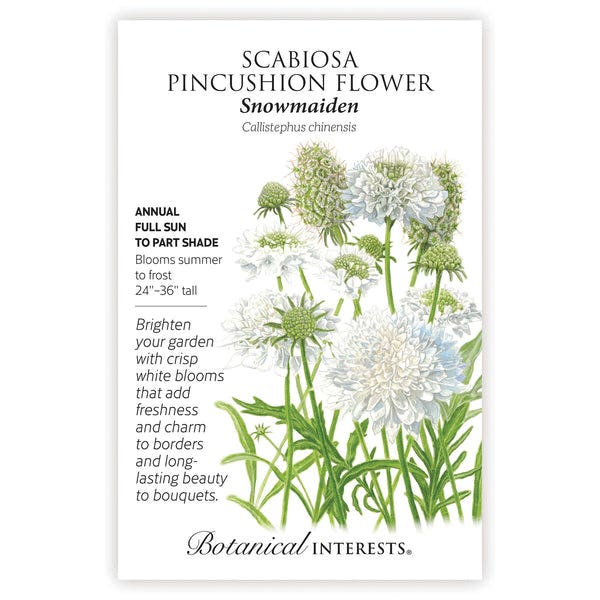 Botanical Interests Flower Seed, Snow Maiden Scabiosa, Callistephus Chinensis, Summer to Frost Bloom, White Bloom