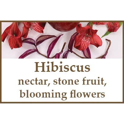 Thompson's Candle Co XHSAM Hibiscus Aroma Melt Wax Bar, Flower Blossoms, Nectar, Plum, Spice Jar