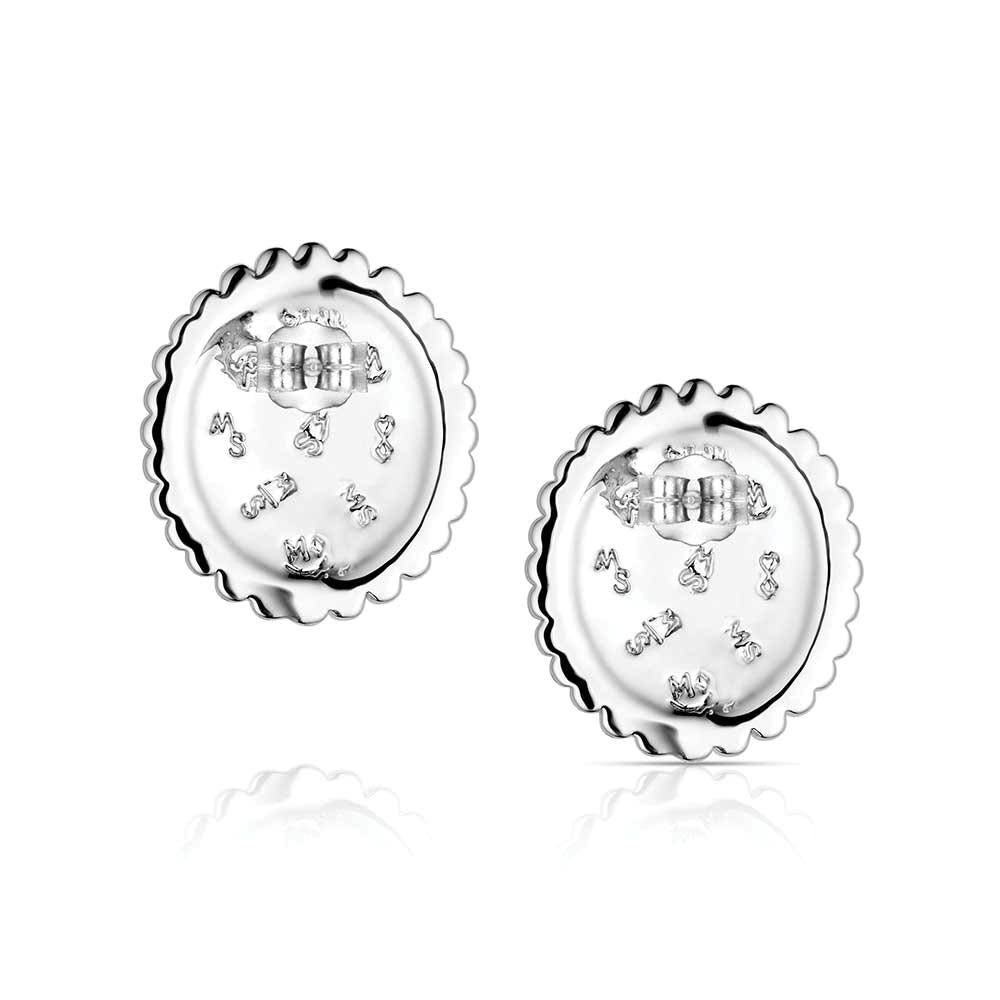 Montana Silversmiths ER6399 Earrings, Women's, Sunburst, Turquoise, Brass