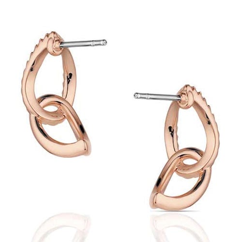 Montana Silversmiths ER6382 Earrings, Women's, Rose of the Rockies, Cubic Zirconia, Brass