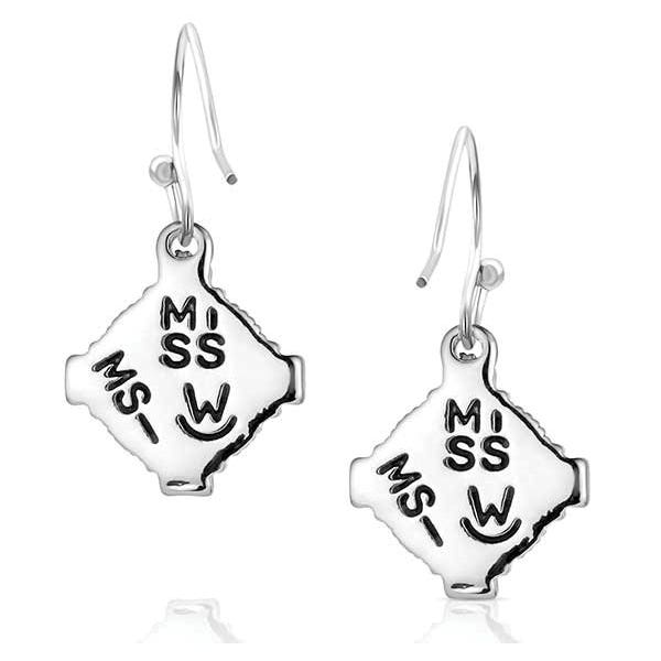 Montana Silversmiths ER6398 Earrings, Women's, Sun Seeker, Turquoise, Brass