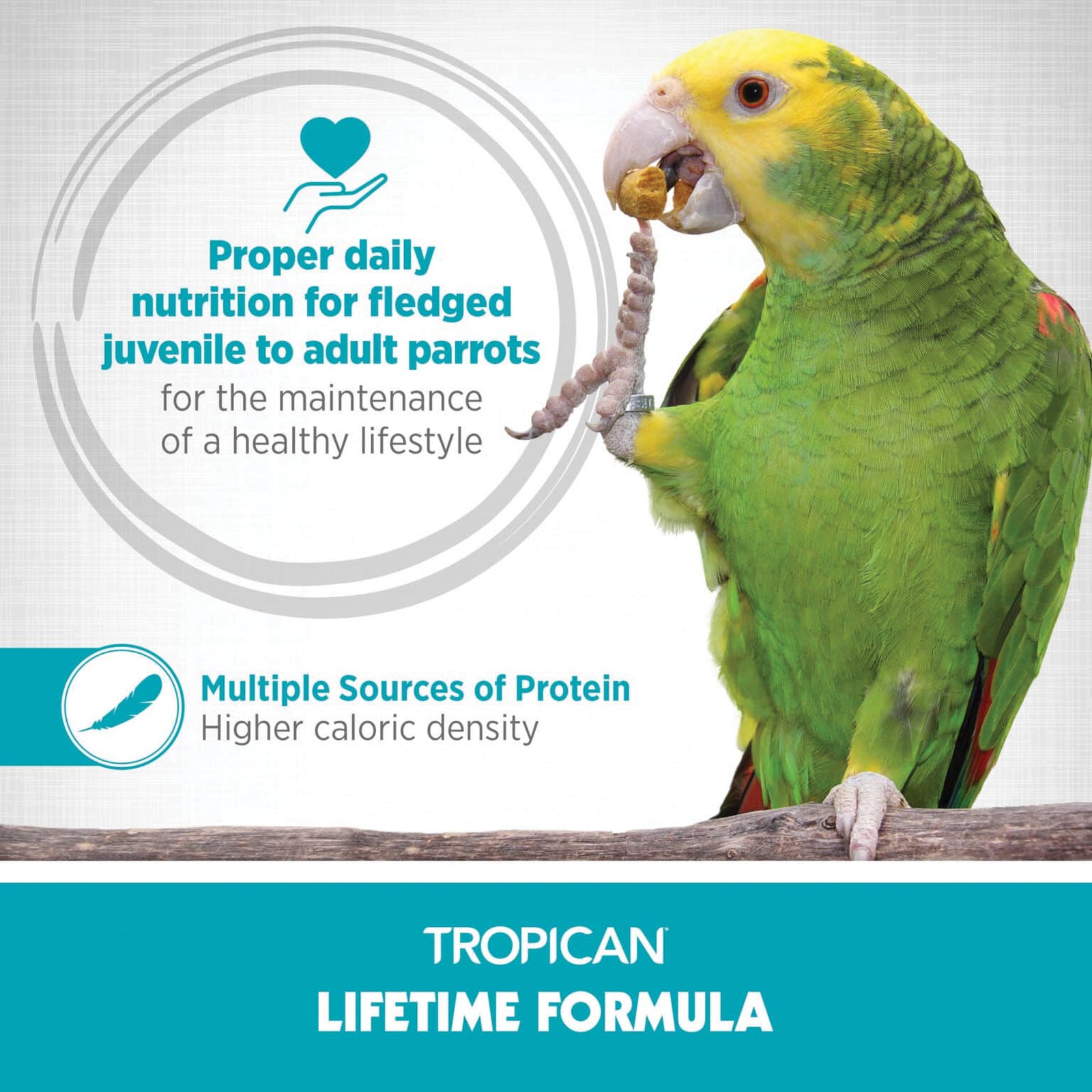 Hari Tropican Bird Food, Granular, 1.8 lb