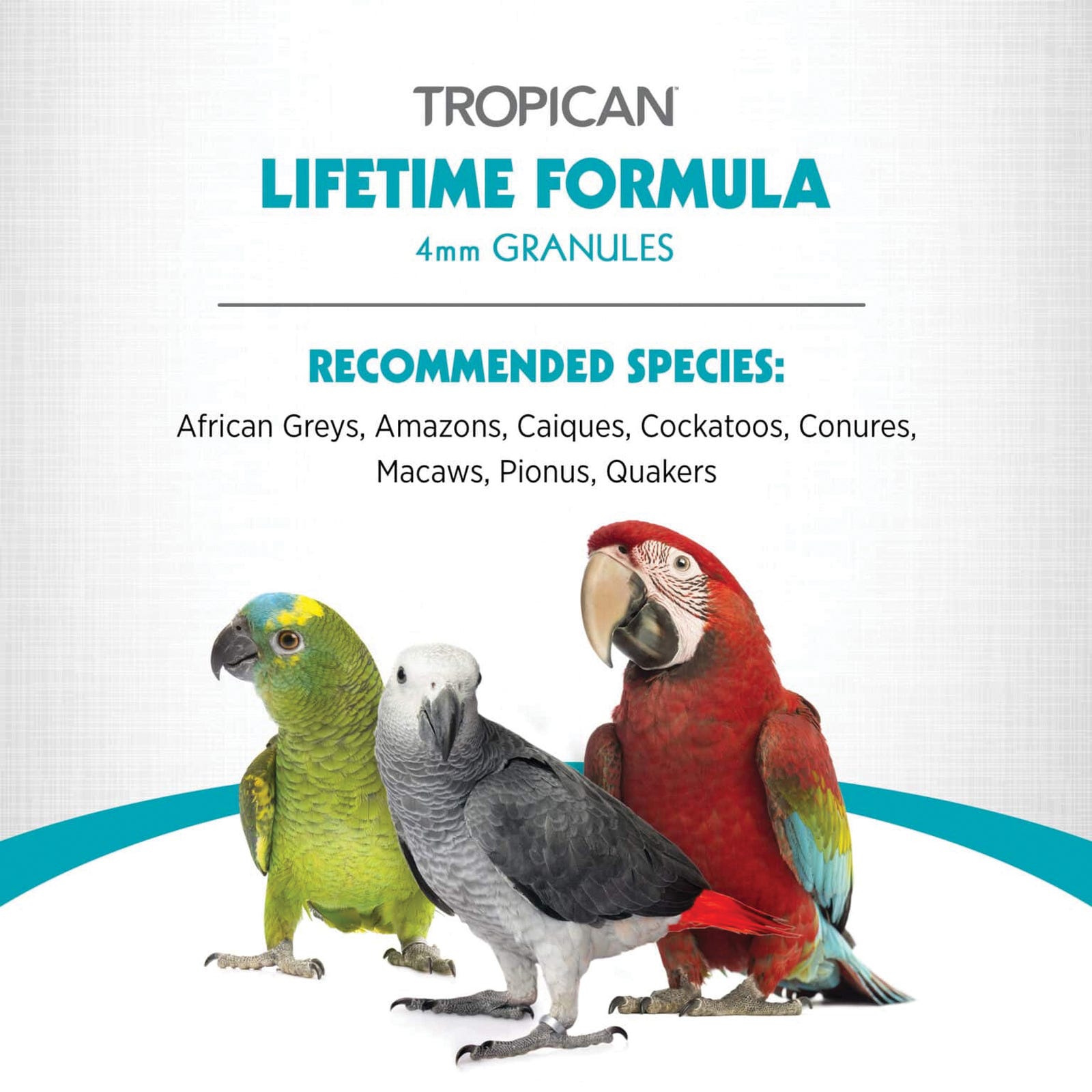 Hari Tropican Bird Food, Granular, 1.8 lb