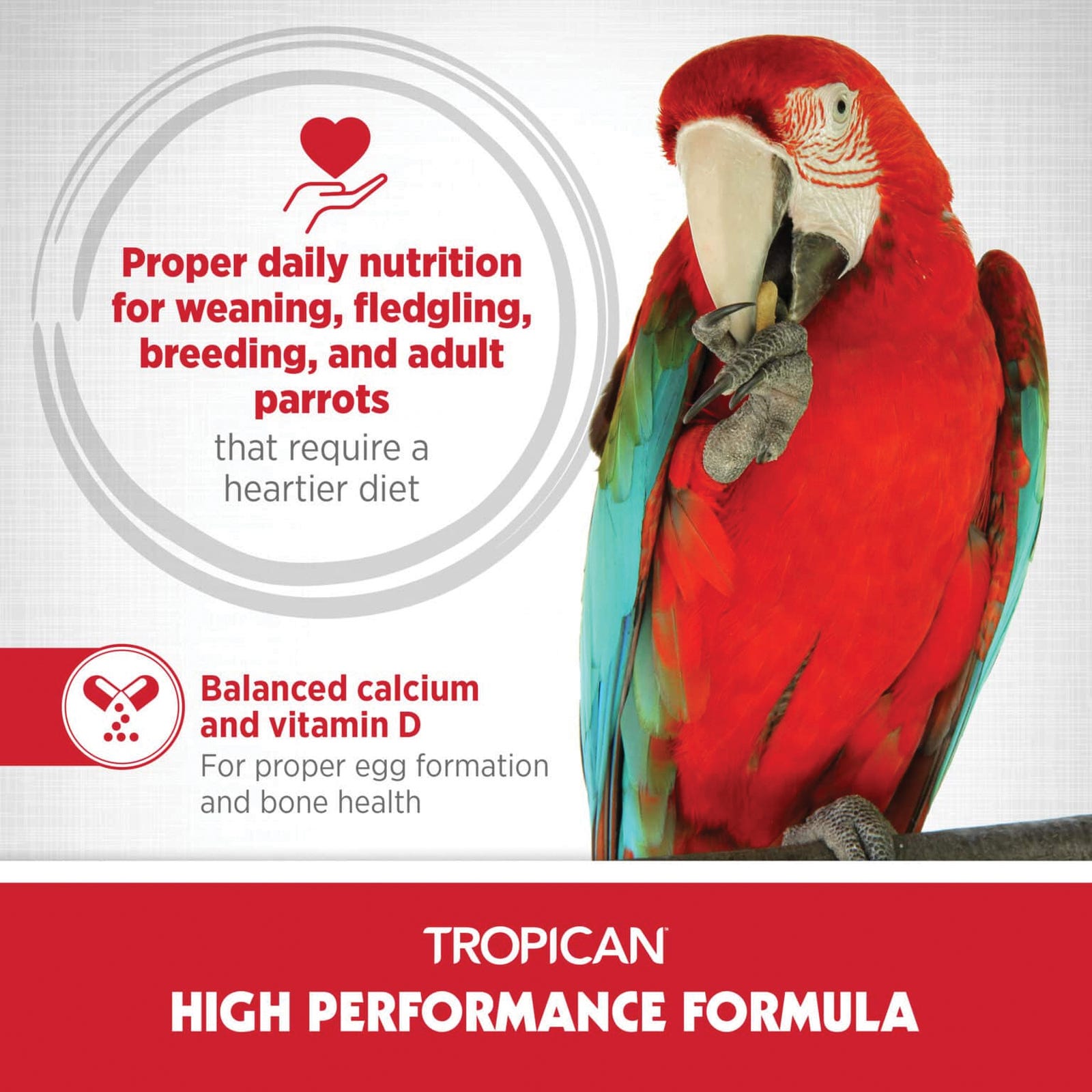 Hari Tropican Bird Food, Stick, 3.3 lb