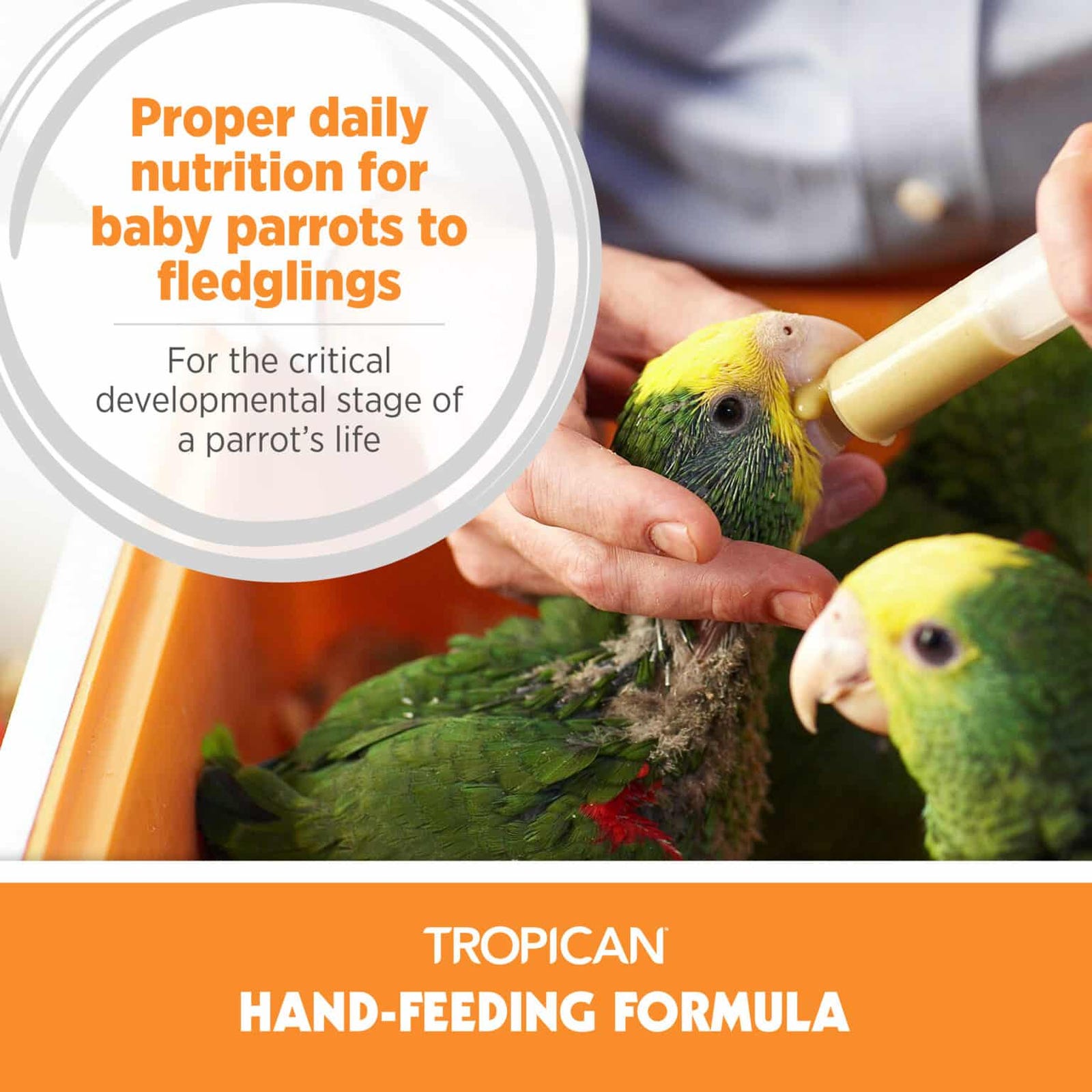 Hari Tropican Bird Food, Mash, 4.4 lb