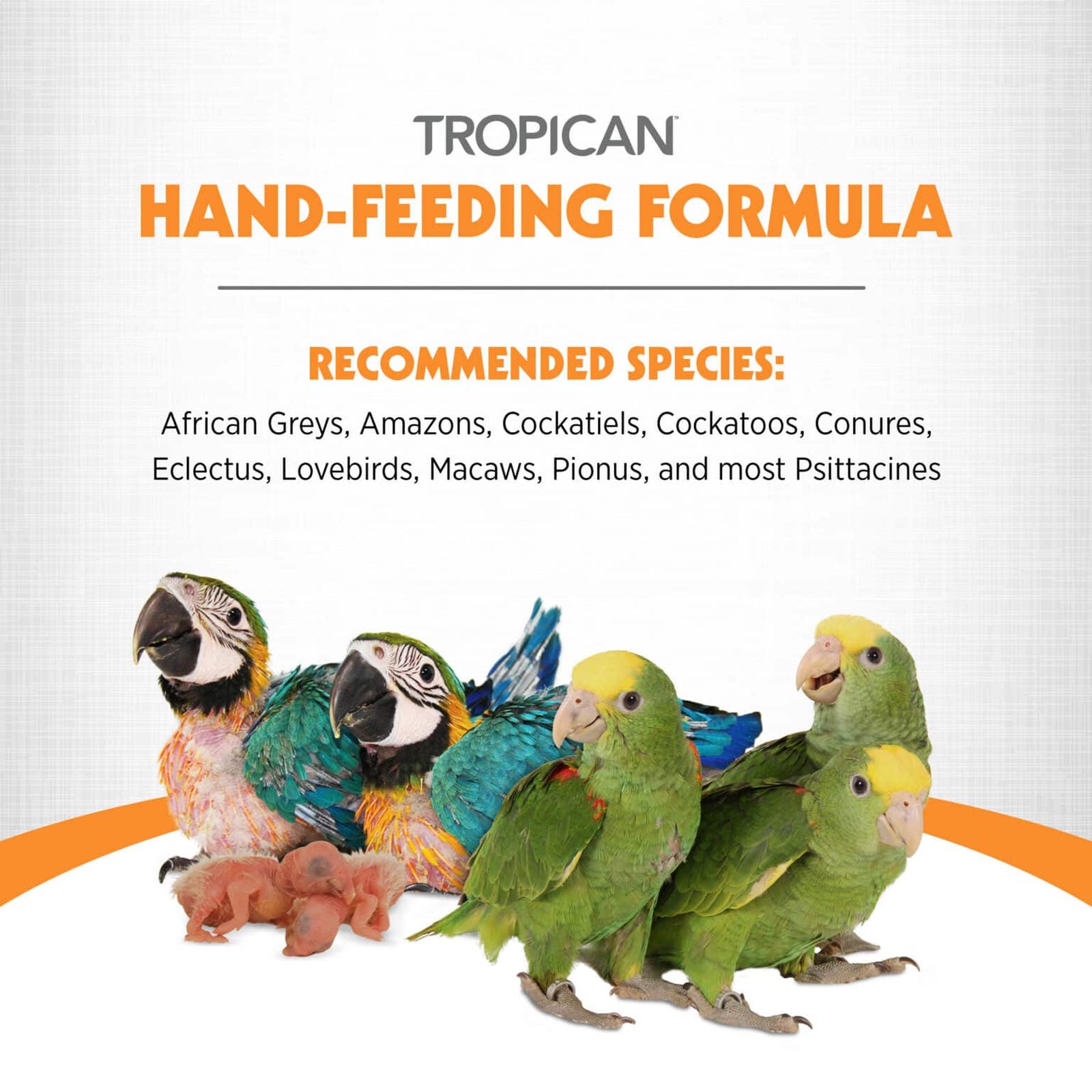Hari Tropican Bird Food, Mash, 4.4 lb