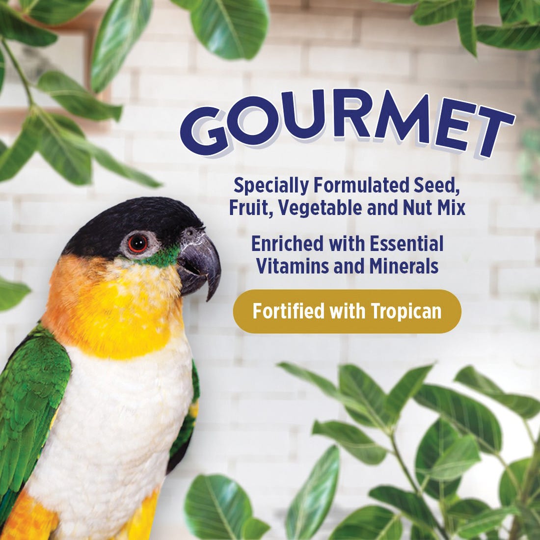 Hari Gourmet Bird Food, Granular, 4.4 lb