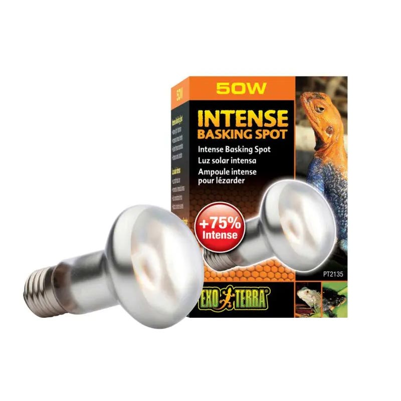 Exo Terra Intense Basking Spot, 50 W
