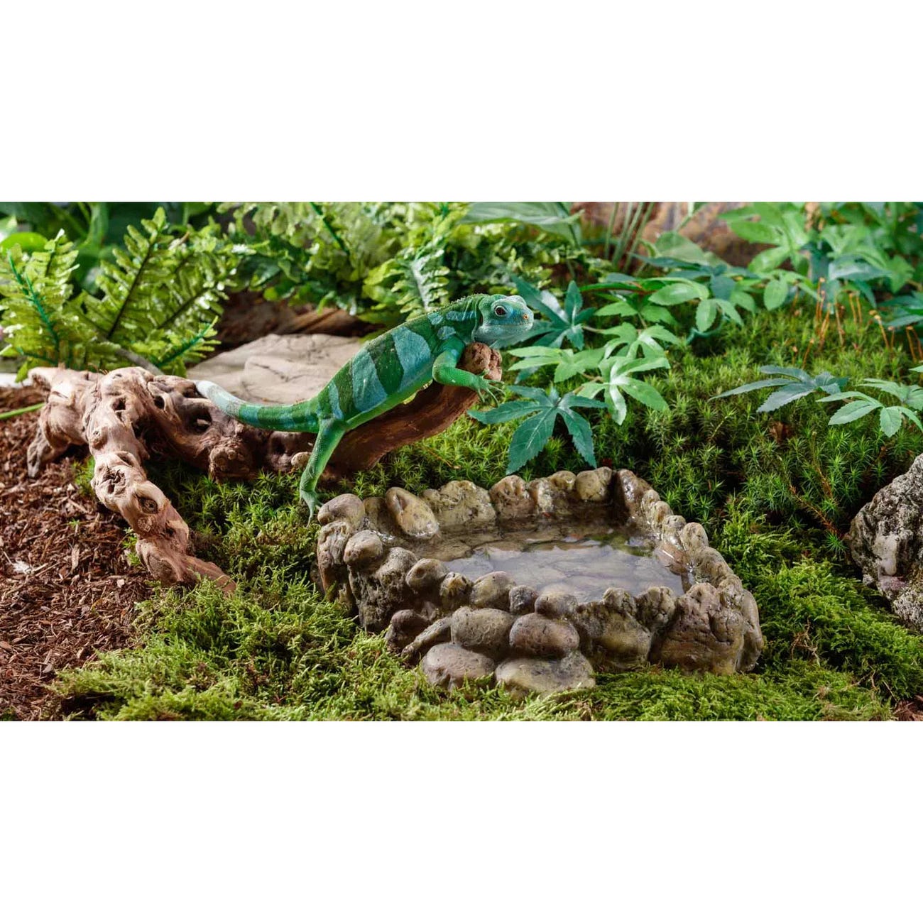 Exo Terra Feeding Dish, Resin